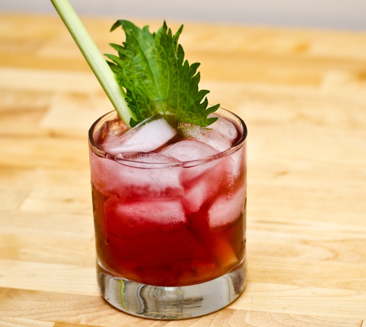 Mount Song | Barrow's Intense Ginger Cocktails