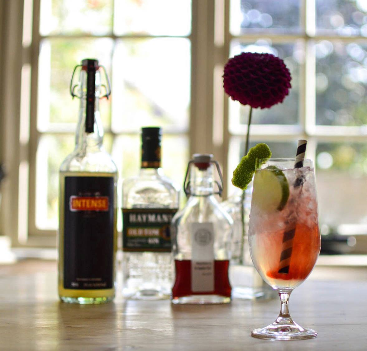 Gin and Ginger Sippin' | Summer Cocktails